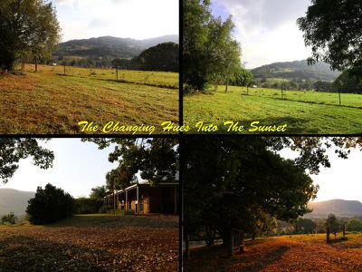 2012 Nimbin Road, Coffee Camp