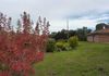 Molong