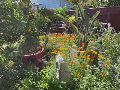 1B Titoki Street, Stoke