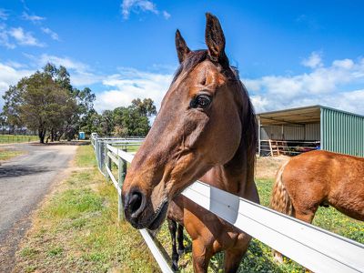 65 Heywoods Road, Seymour
