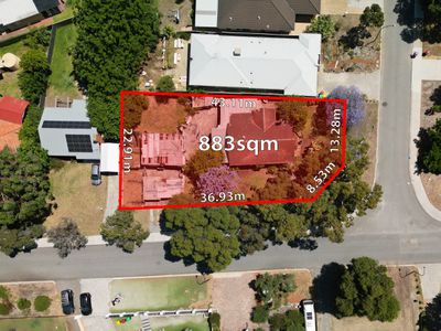 35 Dorothy Street, Ashfield