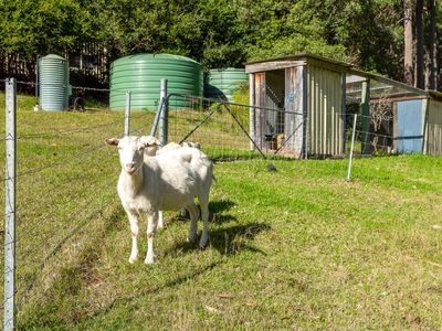 29 Timber Barge Lane, Benandarah