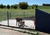 11 Windera Way, Windera Estate, Molong Rd, Orange