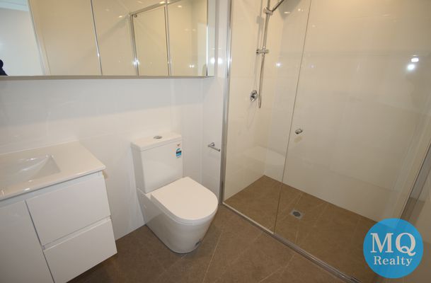 509 / 11 RAPHAEL STREET, Lidcombe