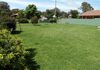 9 Mayne Street - Cargo, Orange