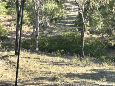 494 Yeppoon Road, Limestone Creek