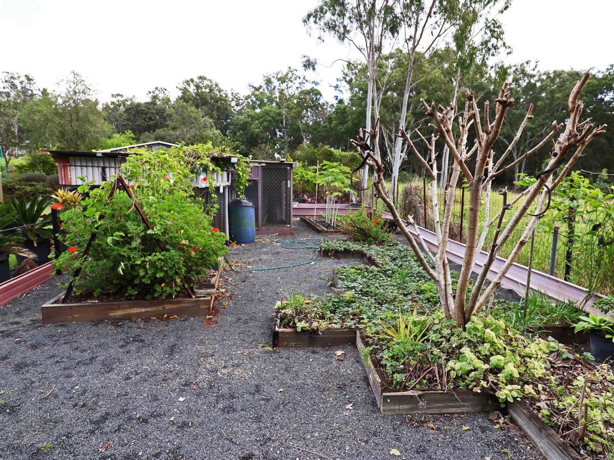 Ravenshoe
