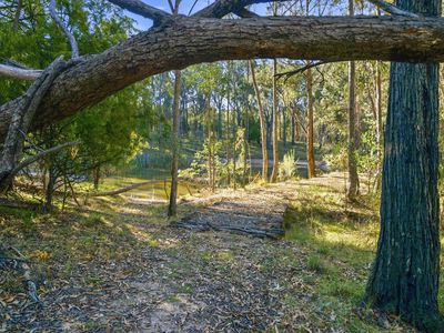 172 Johnstons Road, Barjarg