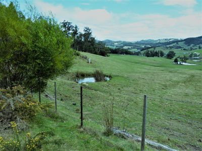 Lot 2 Rifle Range Road, Cygnet