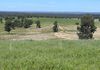 117 HILLSIDE LANE, Daroobalgie