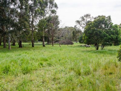 28 Wattle Road, Millicent