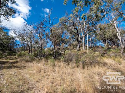 841 Gunyah Road, Tenterfield