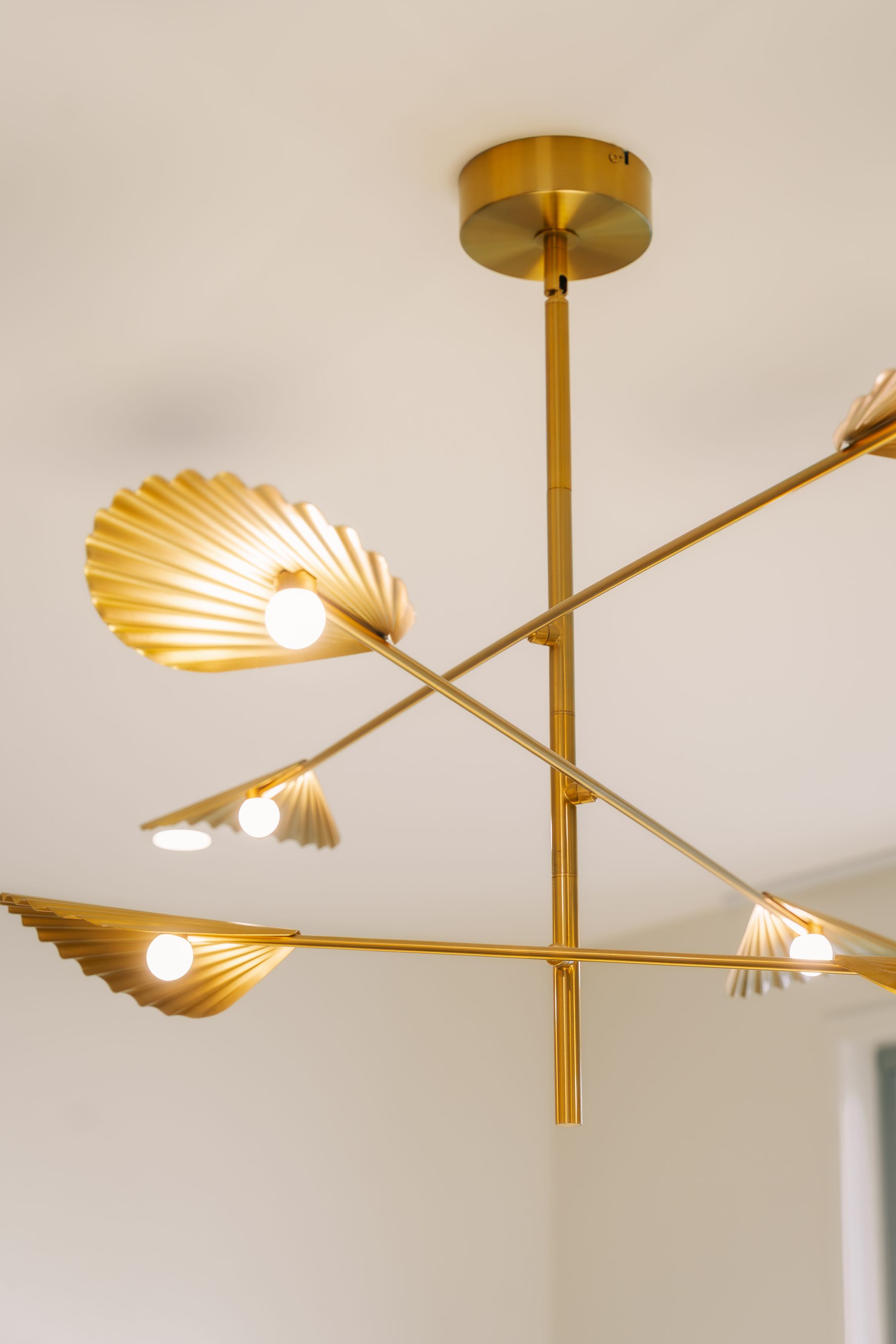 1 Hopetoun Way, New Farm