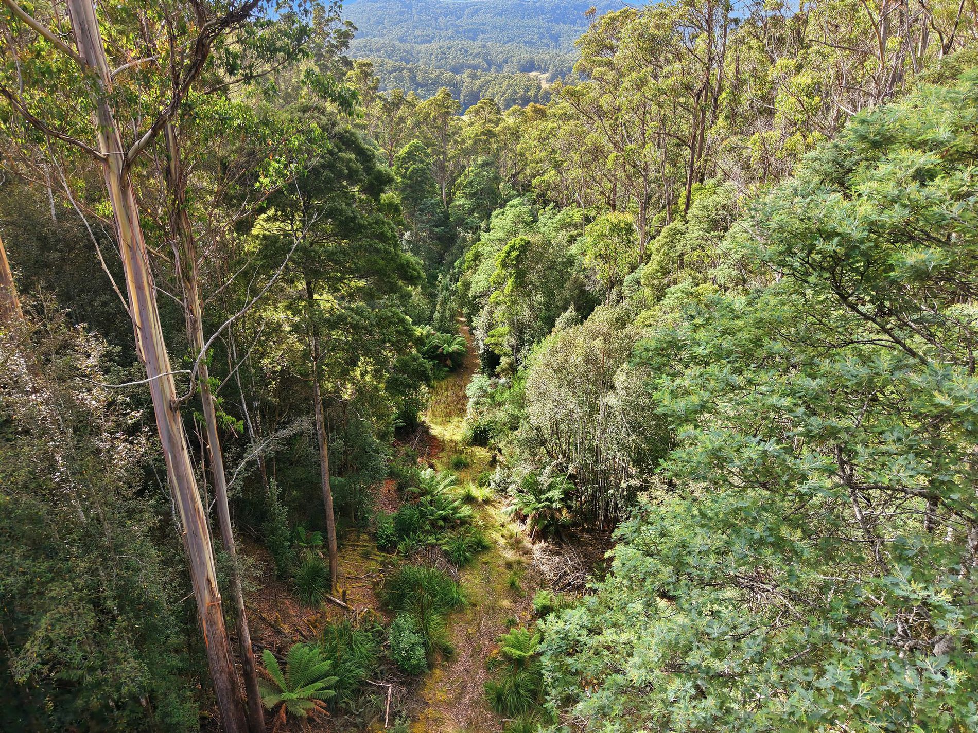 111 Underwoods Road, Nicholls Rivulet