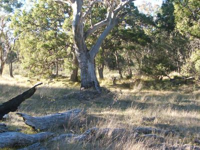 Lot 19 Silent Grove, Torrington