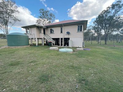 Wattle Camp