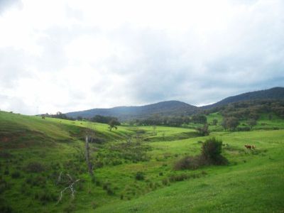 Speers Lane, Dederang