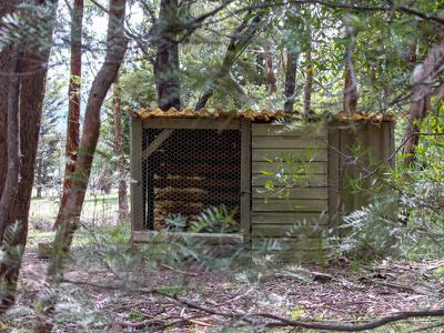 1310 Old Tolmie Road, Tolmie
