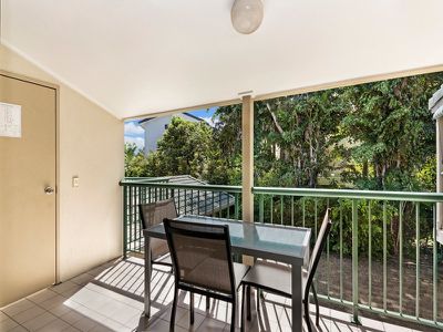25 / 162 Noosa Parade, Noosaville