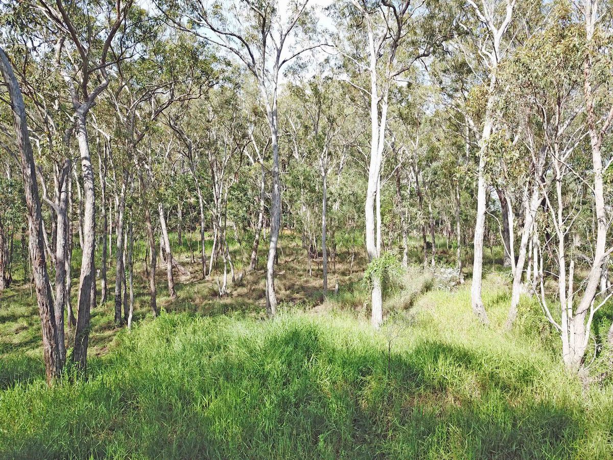 Herberton