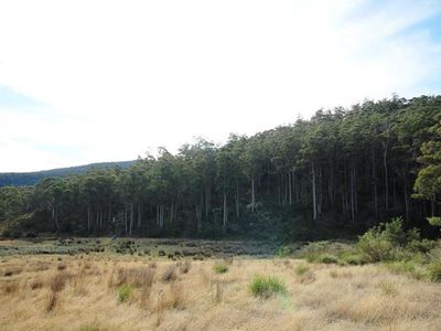 26 Acres Off Abbots Road, Nicholls Rivulet