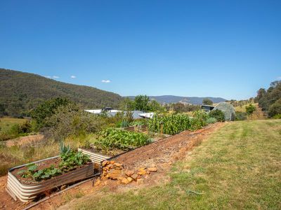 3852 Jingellic Road, Lankeys Creek