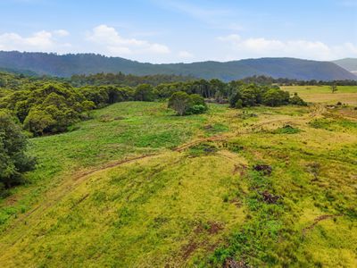 28834 Tasman Highway, Weldborough