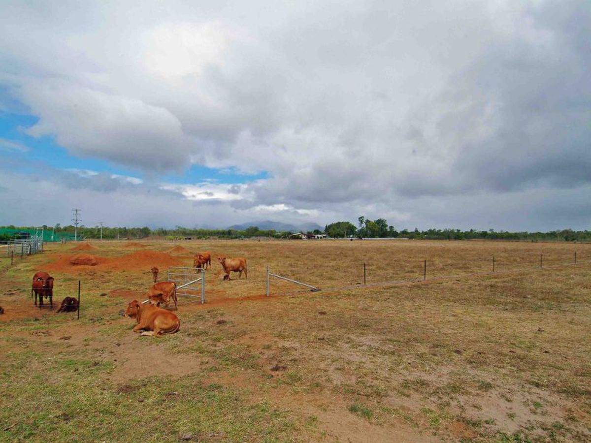 Mareeba