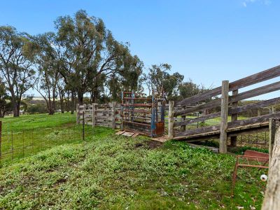245 Sharps & Taylors Rd, Tallarook
