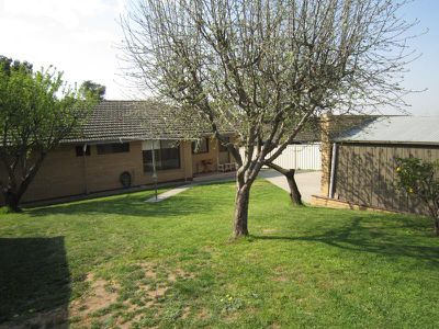 12 Desmond Street, Strathdale