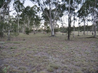 141 Brocklehurst Road, Wattle Camp