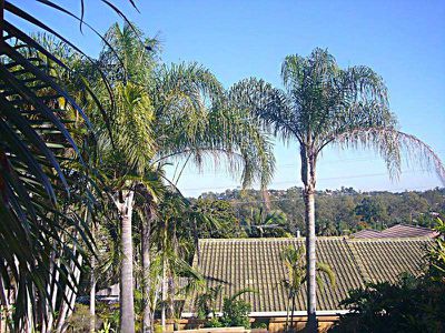 7 Jules Avenue, Rochedale South