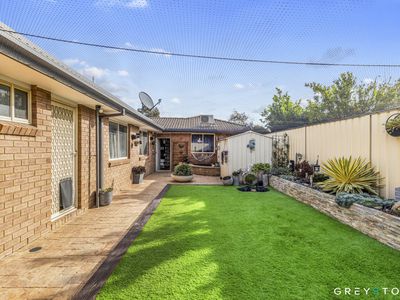 10 Pastoral Place, Sydenham