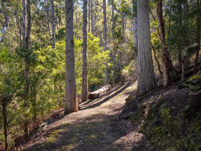 Lot 2 and 3, Kubes Road, Petcheys Bay