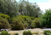 34 Hewitt Close, Orange