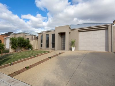 17A Freda Street, Netley