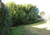 31 Smith Street, Molong