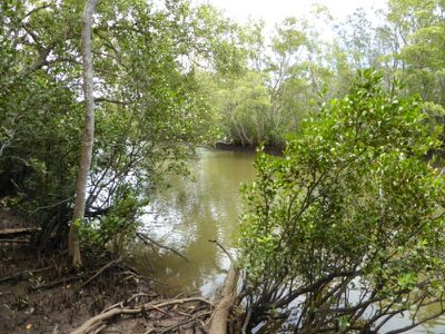 Lot 9 Mullumbimby Road, Mullumbimby