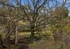 820 Ellendale Road, Ellendale