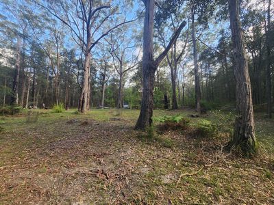 Lot 8, Pelican Road, St Georges Basin