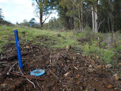 Lot 1 Kalonga Road, Nicholls Rivulet
