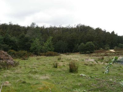 Tobys Hill Road, Cygnet