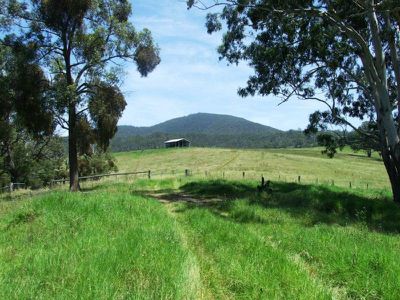449 Sheepskin Road, Burragate
