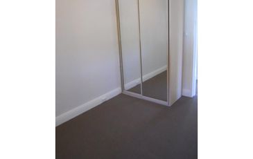 3 / 123 Alison Rd, Randwick