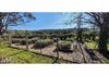 521 Belgravia Road, Orange