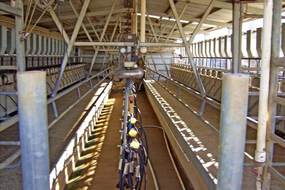 168 Wilson Road, Wyuna