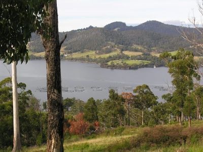O'Hallarans Road, Geeveston
