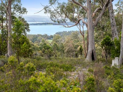 49A Wills Road, Abels Bay