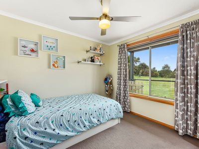 183 Williams Road, Millicent