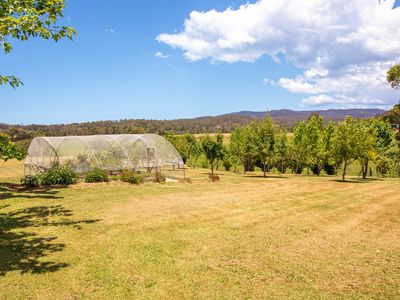 1650 Nethercote Road, Pambula